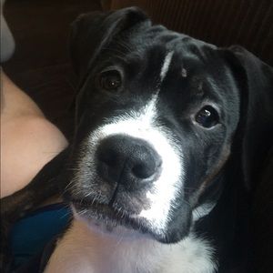 Meet your Posher, William